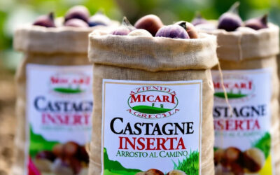 Castagne Inserta Arrosto al Camino